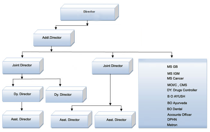 Image of Organogram of Directorate of Health Services